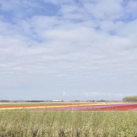 Near Groote Keeten Callantsoog