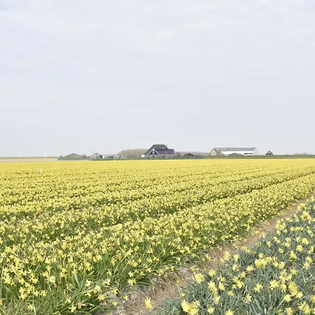 Near Groote Keeten * カラントスウオーフ