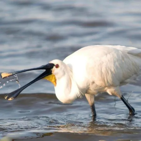 Near Groote Keeten アパート カラントスウオーフ