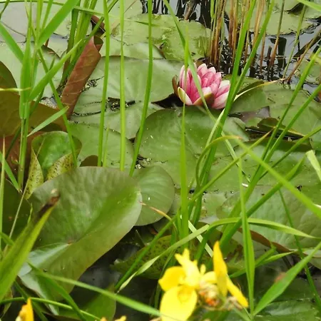 Near Groote Keeten アパート